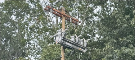 Installed IntelliRupter with trees in the background